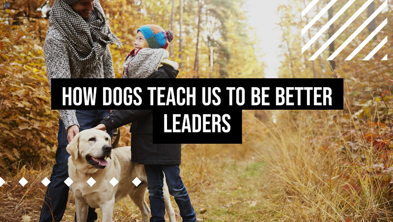 Thumbnail of how dogs teach us to be better leaders
