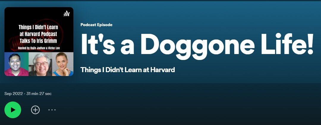 Thumbnail for podcast of "It's a doggone life"