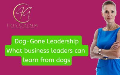 How I use dogs and their behavior to train business leaders