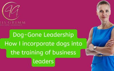 How Dogs Train Business Leaders