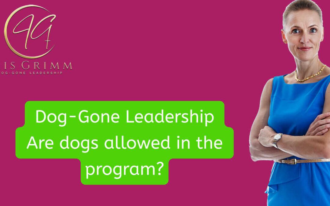 Dog-Gone Leadership – Are dogs allowed?