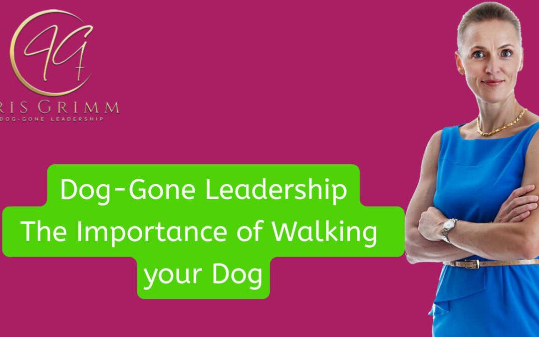 The Power of Walking Your Dog