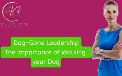 The Power of Walking Your Dog