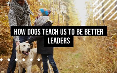 How dogs teach us to be better leaders